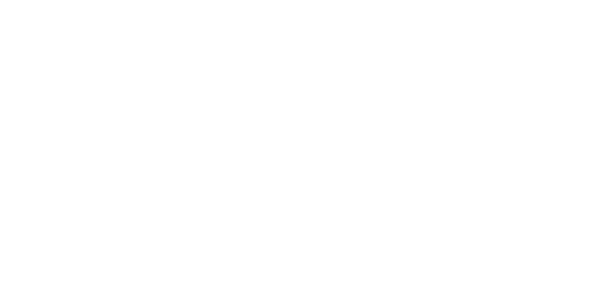 Vlaamse Kickboks Muaythai Organisatie
