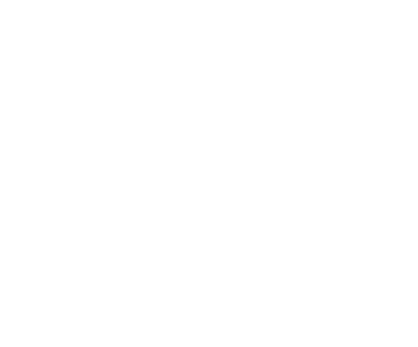 WBC Amateur