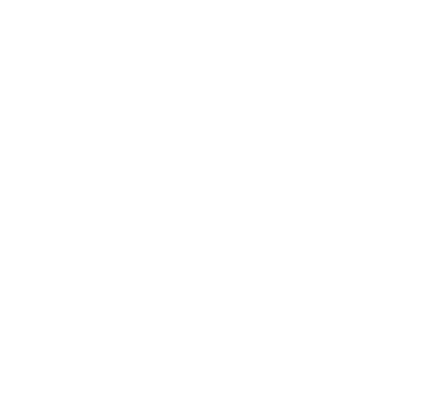World Tattoo Events